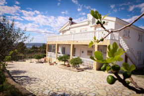 Apartments Vidrice, Novigrad